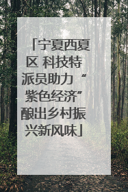 宁夏西夏区 科技特派员助力“紫色经济”酿出乡村振兴新风味