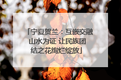 宁夏贺兰：互嵌交融 山水为证 让民族团结之花绚烂绽放