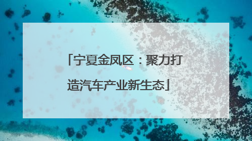 宁夏金凤区：聚力打造汽车产业新生态