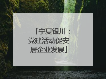 宁夏银川：党建活动促安居企业发展