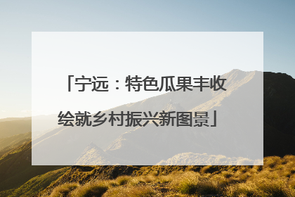 宁远：特色瓜果丰收绘就乡村振兴新图景
