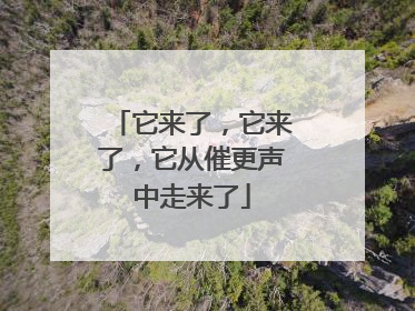 它来了，它来了，它从催更声中走来了