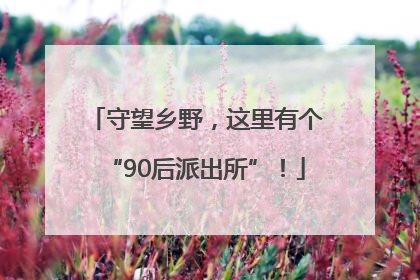 守望乡野，这里有个“90后派出所”！