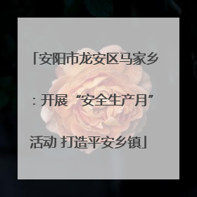 安阳市龙安区马家乡：开展“安全生产月”活动 打造平安乡镇