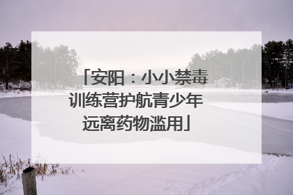 安阳：小小禁毒训练营护航青少年远离药物滥用
