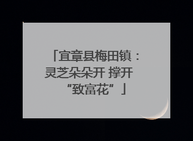 宜章县梅田镇：灵芝朵朵开 撑开“致富花”