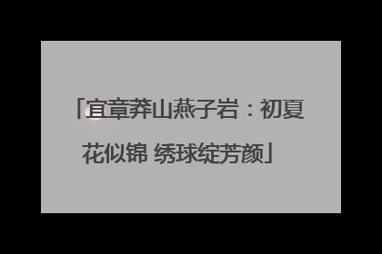 宜章莽山燕子岩：初夏花似锦 绣球绽芳颜