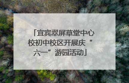 宜宾翠屏草堂中心校初中校区开展庆“六一”游园活动