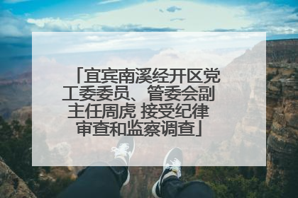 宜宾南溪经开区党工委委员、管委会副主任周虎 接受纪律审查和监察调查