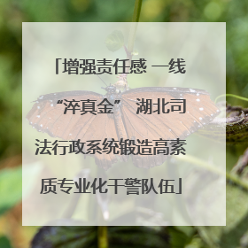 增强责任感 一线“淬真金” 湖北司法行政系统锻造高素质专业化干警队伍