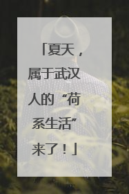 夏天，属于武汉人的“荷系生活”来了！