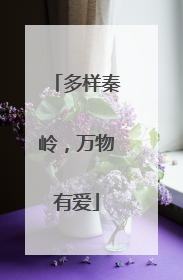 多样秦岭，万物有爱
