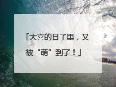 大喜的日子里，又被“萌”到了！