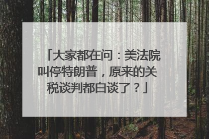 大家都在问：美法院叫停特朗普，原来的关税谈判都白谈了？