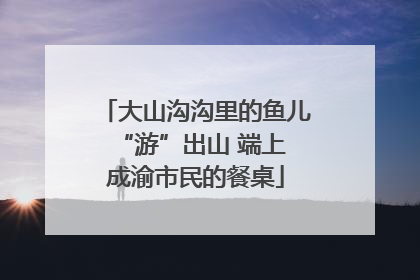 大山沟沟里的鱼儿 “游”出山 端上成渝市民的餐桌