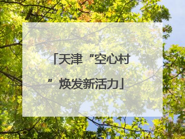 天津“空心村”焕发新活力