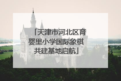 天津市河北区育婴里小学国际象棋共建基地启航