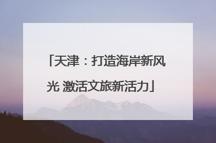 天津：打造海岸新风光 激活文旅新活力