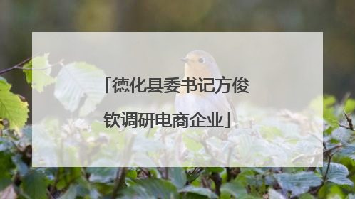 德化县委书记方俊钦调研电商企业