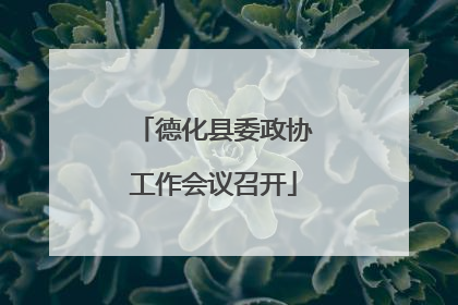 德化县委政协工作会议召开