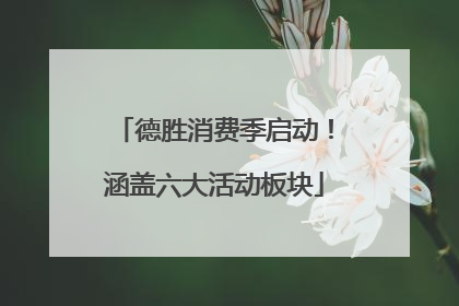 德胜消费季启动！涵盖六大活动板块