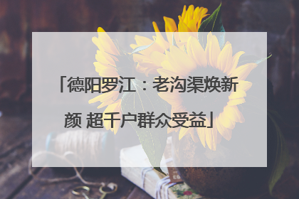 德阳罗江：老沟渠焕新颜 超千户群众受益