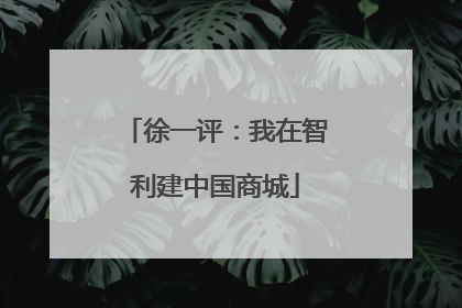 徐一评：我在智利建中国商城