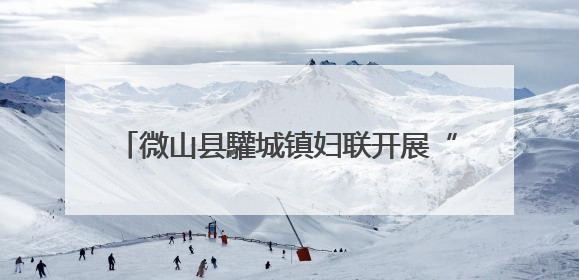 微山县驩城镇妇联开展“安全生产月”宣传活动