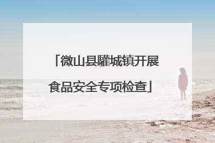 微山县驩城镇开展食品安全专项检查