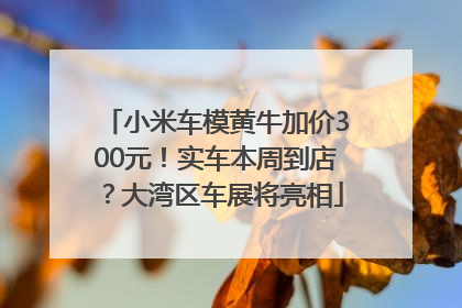小米车模黄牛加价300元！实车本周到店？大湾区车展将亮相