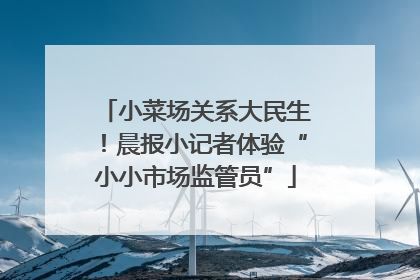 小菜场关系大民生！晨报小记者体验“小小市场监管员”