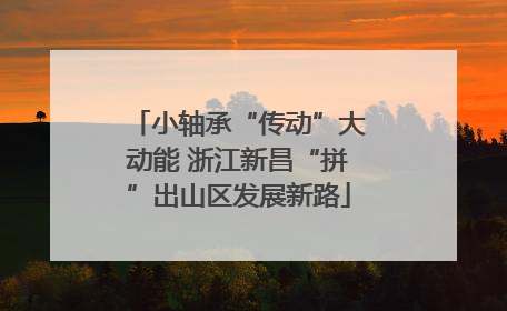 小轴承“传动”大动能 浙江新昌“拼”出山区发展新路