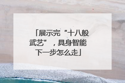 展示完“十八般武艺”，具身智能下一步怎么走