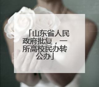 山东省人民政府批复，一所高校民办转公办