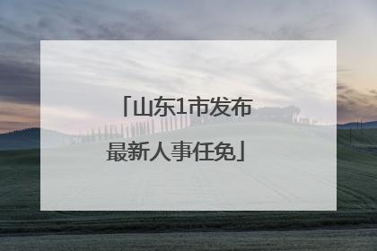 山东1市发布最新人事任免