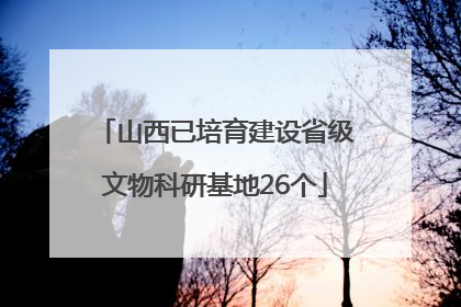 山西已培育建设省级文物科研基地26个