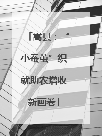 嵩县：“小蚕茧”织就助农增收新画卷