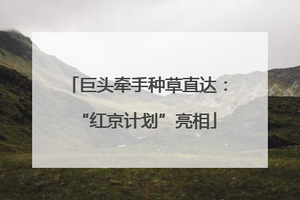 巨头牵手种草直达：“红京计划”亮相