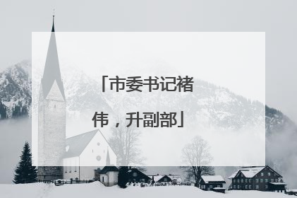 市委书记褚伟，升副部