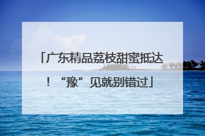 广东精品荔枝甜蜜抵达！“豫”见就别错过