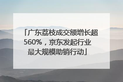 广东荔枝成交额增长超560%，京东发起行业最大规模助销行动