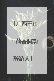 广西三江：荷香侗韵醉游人