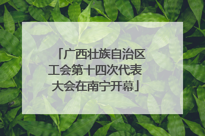 广西壮族自治区工会第十四次代表大会在南宁开幕