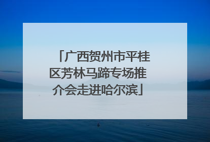广西贺州市平桂区芳林马蹄专场推介会走进哈尔滨