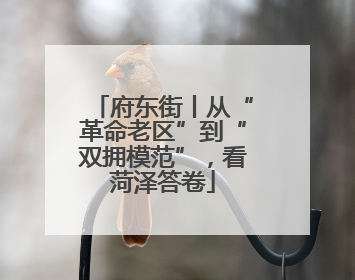 府东街丨从“革命老区”到“双拥模范”，看菏泽答卷