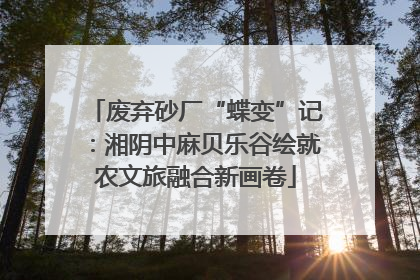 废弃砂厂“蝶变”记：湘阴中麻贝乐谷绘就农文旅融合新画卷