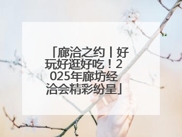 廊洽之约丨好玩好逛好吃！2025年廊坊经洽会精彩纷呈