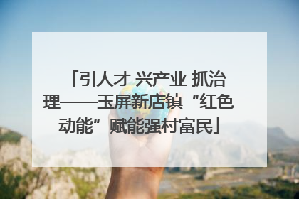 引人才 兴产业 抓治理——玉屏新店镇“红色动能”赋能强村富民