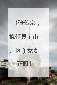 张传宗，拟任县（市、区）党委正职
