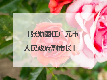 张勋图任广元市人民政府副市长